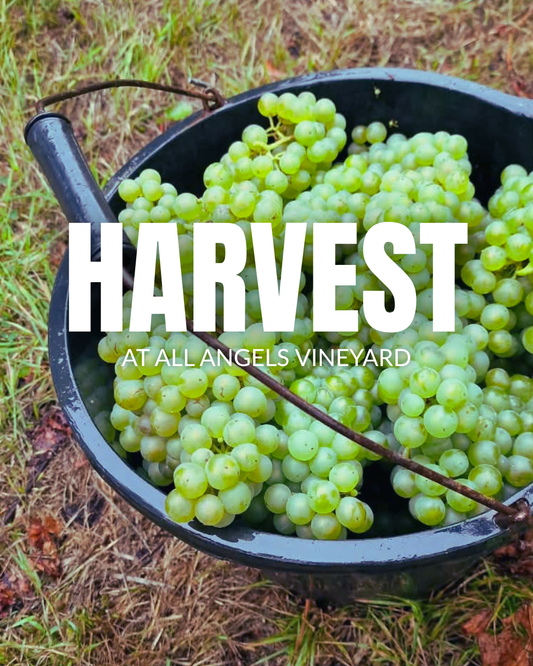 Harvest 2026 - blink and you'd miss it!